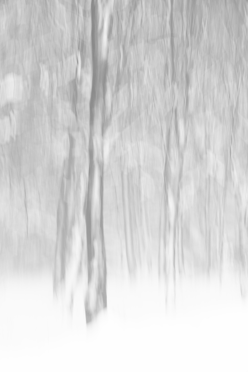 Moving moment in snow by Karen Ketels