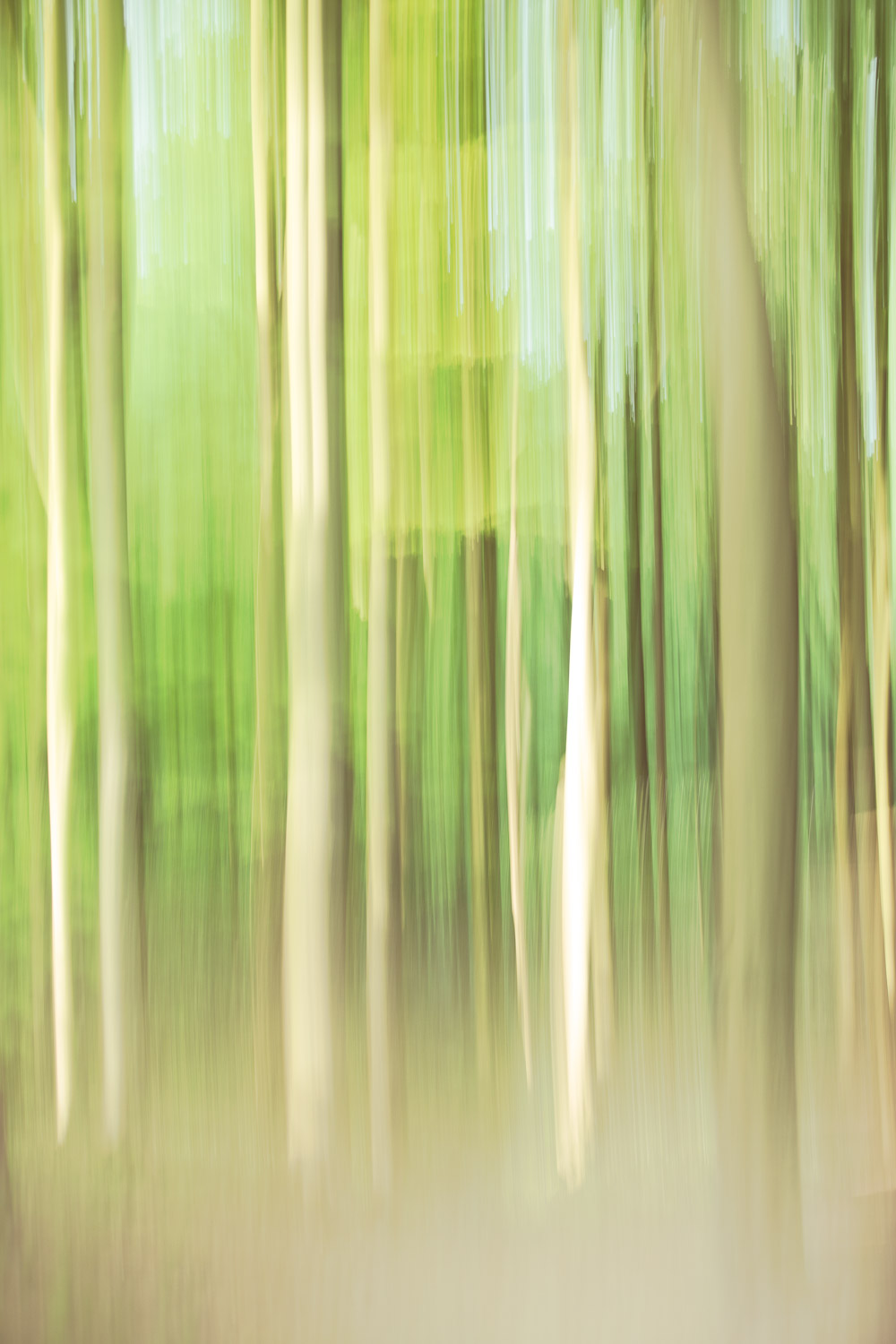 Moving Moments beach forest by Karen Ketels