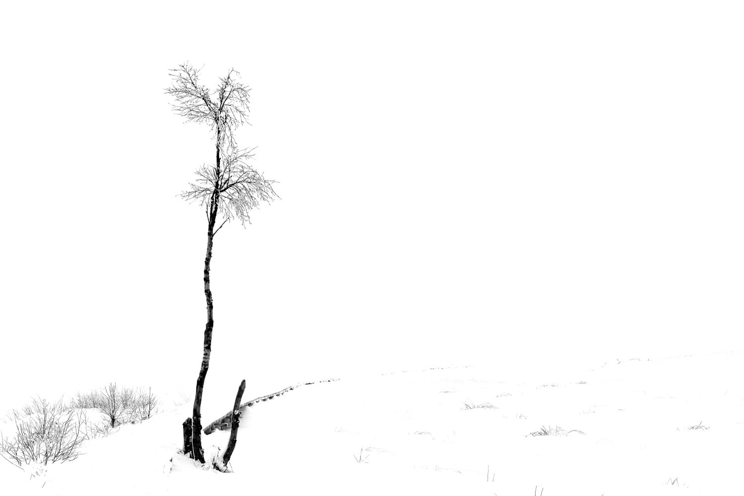 Black and white fine art portrait of Noir Flohay in the snow by Karen Ketels