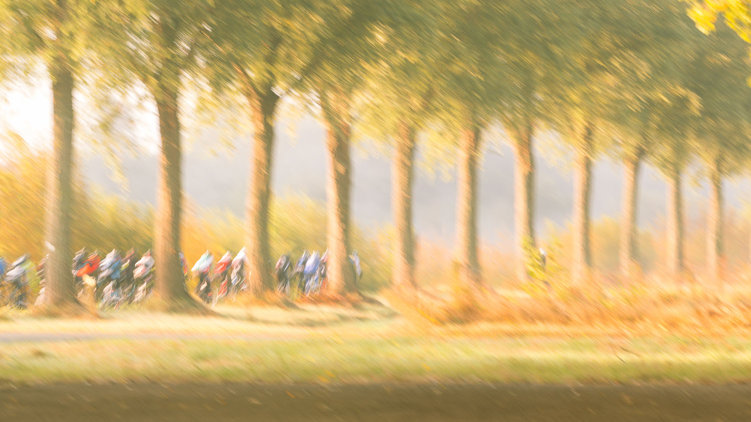 Impressionistic portrait of group cyclists in a lane of trees by Karen Ketels