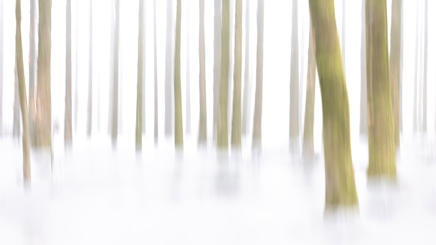 Ghostely Trees by Karen Ketels